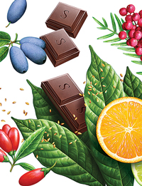 Illustration zum Verpacken von Schokolade. 