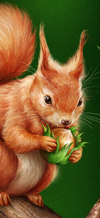 Squirrel. Illustration for ice cream.
