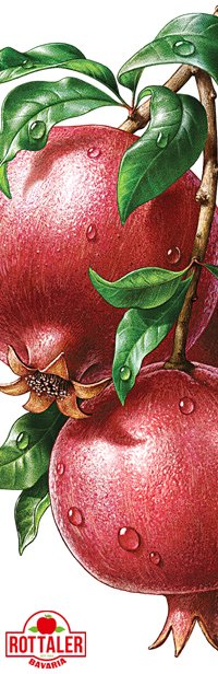 Garnet pomegranate