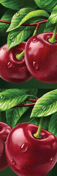 Illustrationen mit Beeren und Früchten. Für Geleepakete.