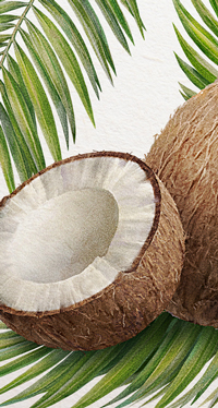 Coconut. 
