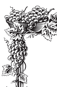 ワインのラベルのための装飾的なフレーム。ベクトルエディタはAdobe Illustratorで作成。